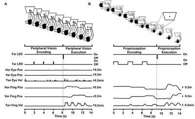 Encoding type, medication, and deep brain stimulation differentially affect memory-guided sequential reaching movements in Parkinson's disease